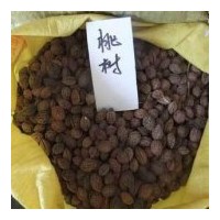 供應(yīng)綠化桃樹(shù)種子