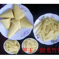 臺(tái)灣麻竹苗 龍竹苗 吊絲竹苗 甜竹苗