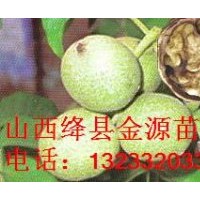 供應(yīng) 核桃苗 蘋果苗 山楂苗 桃樹苗 杏樹苗 梨樹苗