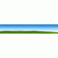 紅富士蘋(píng)果樹(shù)苗