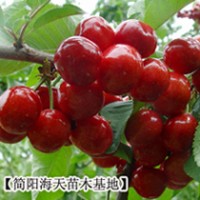 進(jìn)口車?yán)遄用?賓瑩車?yán)遄?/></a>
<ul><li><a href=