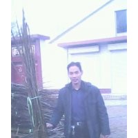 核桃苗 蘋果苗 梨樹 山楂 柿子 桃樹