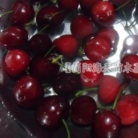 5、車?yán)遄訕涿鐑r格，車?yán)遄用缙贩N，車?yán)遄訕涿缗l(fā)