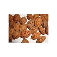 供應山西桃胡，毛桃胡價格，桃胡批發(fā)產地，毛桃胡產地