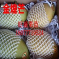 芒果苗 荔枝苗 蓮霧苗 木菠蘿苗 番石榴苗 火龍果苗