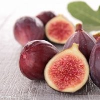 波姬紅無花果，無花果苗，無花果樹苗