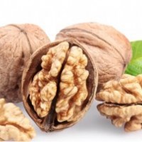 重慶川早2號(hào)嫁接核重慶川早2號(hào)嫁接核桃苗， 重慶川早2號(hào)核桃苗價(jià)