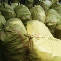 紫穗槐小苗-紫林種植貨源充足-紫穗槐農(nóng)場(chǎng)