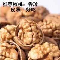 好核桃苗 薄皮核桃苗 核桃苗最新價(jià)格 山西核桃樹