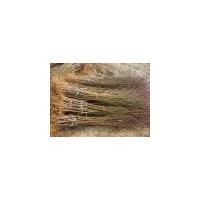 桃樹苗、山西桃樹苗、桃樹苗直銷