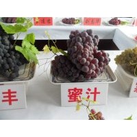 批發(fā)松原葡萄苗，出售白城葡萄苗