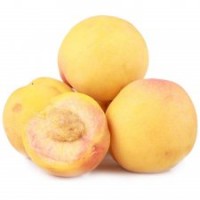 黃桃苗品種推薦價(jià)格