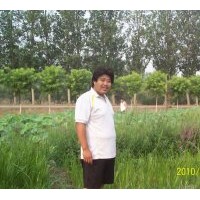 山東水生植物種植銷(xiāo)售