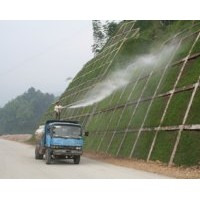 供應湖北高速公路護坡綠化草種草坪