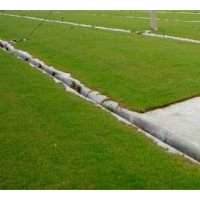 供應(yīng)無土草坪卷、沙坪果嶺草、高檔草坪