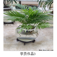 山東水培花培訓(xùn)