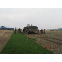 草坪，早熟禾，優(yōu)異，B6，翡翠