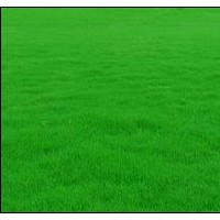 馬尼拉基地物優(yōu)價廉