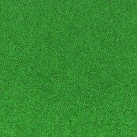 馬尼拉，四季青，矮生百慕大，高羊茅