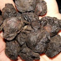 大量長(zhǎng)期供應(yīng)批發(fā)烏梅干煙熏烏梅干烏梅肉無(wú)核藥用