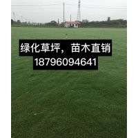 百慕大草坪，馬尼拉草坪，草坪價(jià)格優(yōu)惠電18796094641