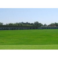 銷(xiāo)售百慕大草坪