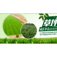 草坪供應(yīng)