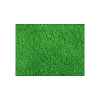 直銷草坪，黑麥草混播，百慕大，狗牙根等綠化草坪