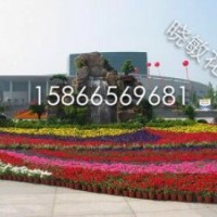 山東綠化草花供應(yīng)基地