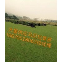 馬尼拉草坪價格是多少？