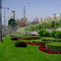 哈爾濱鼎潤綠化園藝