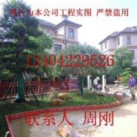 蘇州花園設計、綠化苗木種植基地、別墅造型景觀樹