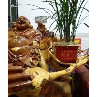 出售金絲楠木原料