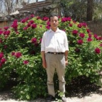 秋天到了，該栽抗寒牡丹了