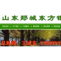 出售1---8公分銀杏小苗