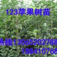 123果樹苗，123果樹苗價格