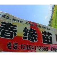 丁香.連翹.水蠟.衛(wèi)矛.塘棋.三角楓.梧桐.錦帶