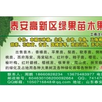 已種植北欒苗 五角楓苗 合歡 皂角 千頭椿 桃苗 花椒苗 甜茶苗等