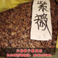 沭陽天晨紫薇種子基地