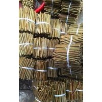 低價售1公分 1.5公分 2公分 2.5公分 3公分速生法桐小苗 法桐扦插