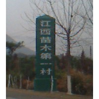 江西紫薇小苗比較多，杜英芽苗數(shù)量，香樟小苗基地，紅豆杉大小苗