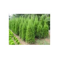 供應署儈1-2米署儈1.5-2.5米署儈3-3.5米署儈價格