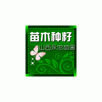 供應(yīng)山桃苗、山杏苗、杜梨苗、海棠苗、白皮松、側(cè)柏