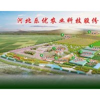 河北樂優(yōu)供應(yīng)無花果,海棠,碧桃,菊芋，雜交狼尾草等苗木