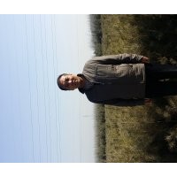 營(yíng)養(yǎng)杯油松14x17、16x16高5o一70公分,新疆楊胸徑1一2o公分,各種