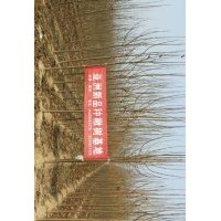 速生楊樹苗花椒苗毛桃樹苗泡桐冬青苗大葉女貞欒樹楸樹大量出售