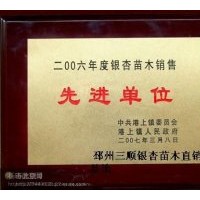大量出售5--80公分實(shí)生銀杏樹(shù)，６--８０公分銀杏嫁接樹(shù)