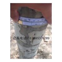 出售13公分法桐