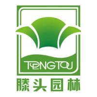 出售黃山欒樹(shù)、無(wú)患子、西府海棠、紅楓、青楓、廣玉蘭、四季桂