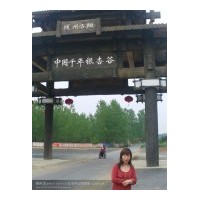 售銀杏樹——湖北省隨州市洛陽鎮(zhèn)